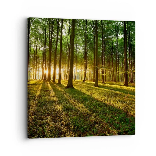 Lærredstryk - Billede på lærred - Fotografering af alle fjedre - 30x30 cm