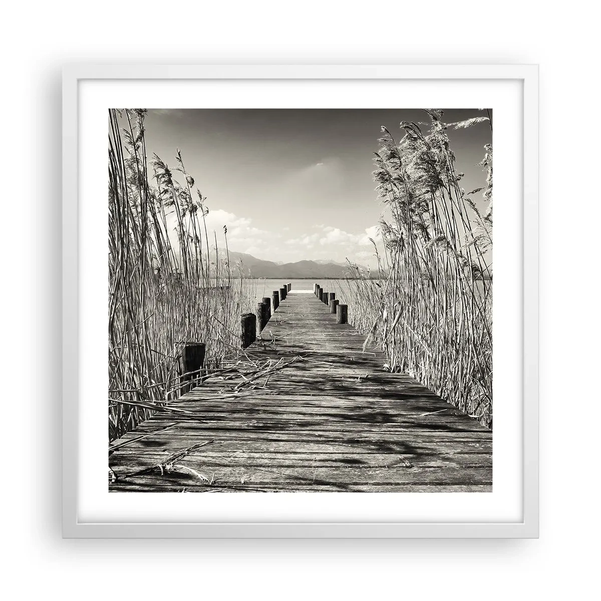 Plakat i hvid ramme - I græssernes fred - 50x50 cm