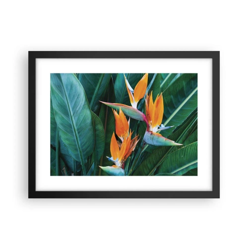 Plakat i sort ramme - Er det en blomst eller er det en fugl? - 40x30 cm