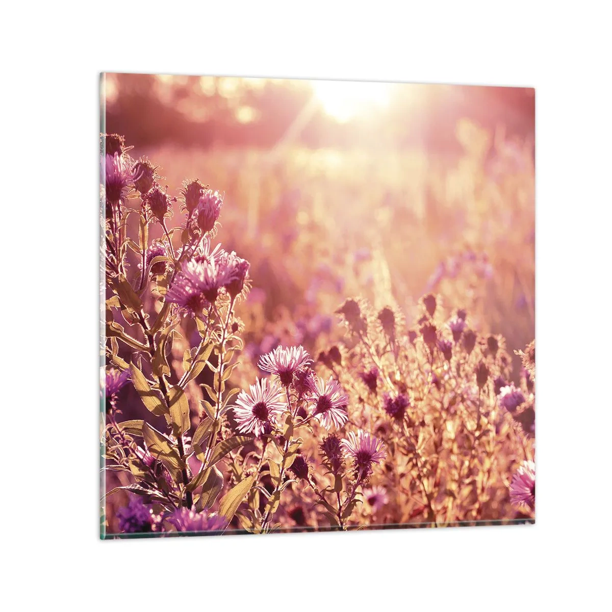 Billede på glas - Før sommeren er forbi - 60x60 cm