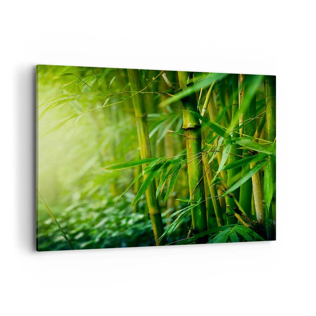 Lærredstryk - Billede på lærred - Lær selve det grønne at kende - 100x70 cm