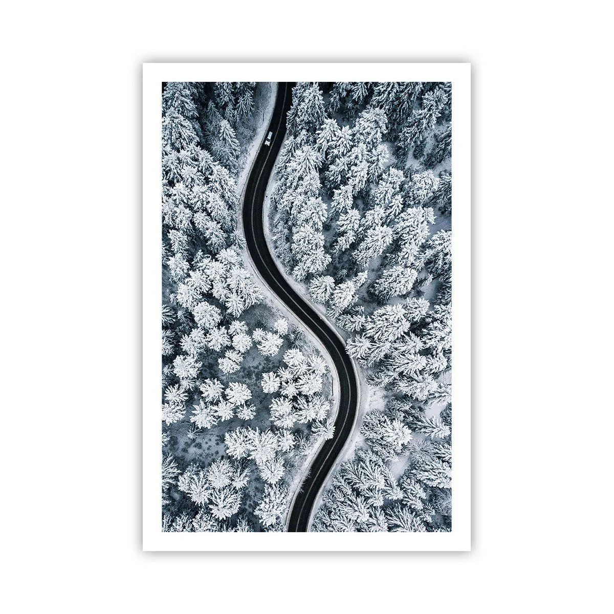 Plakat - Gennem en vinterskov - 61x91 cm