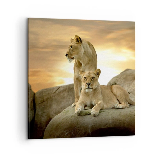 Lærredstryk - Billede på lærred - Kongelig majestæt - 50x50 cm