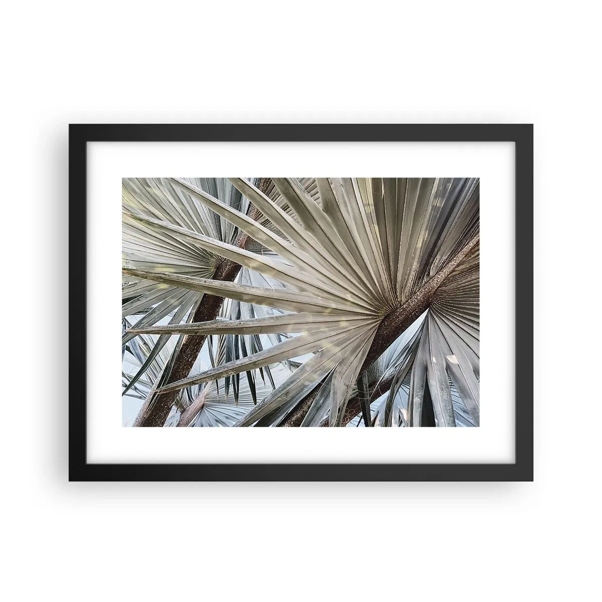 Plakat i sort ramme - Ventilatorer i troperne - 40x30 cm