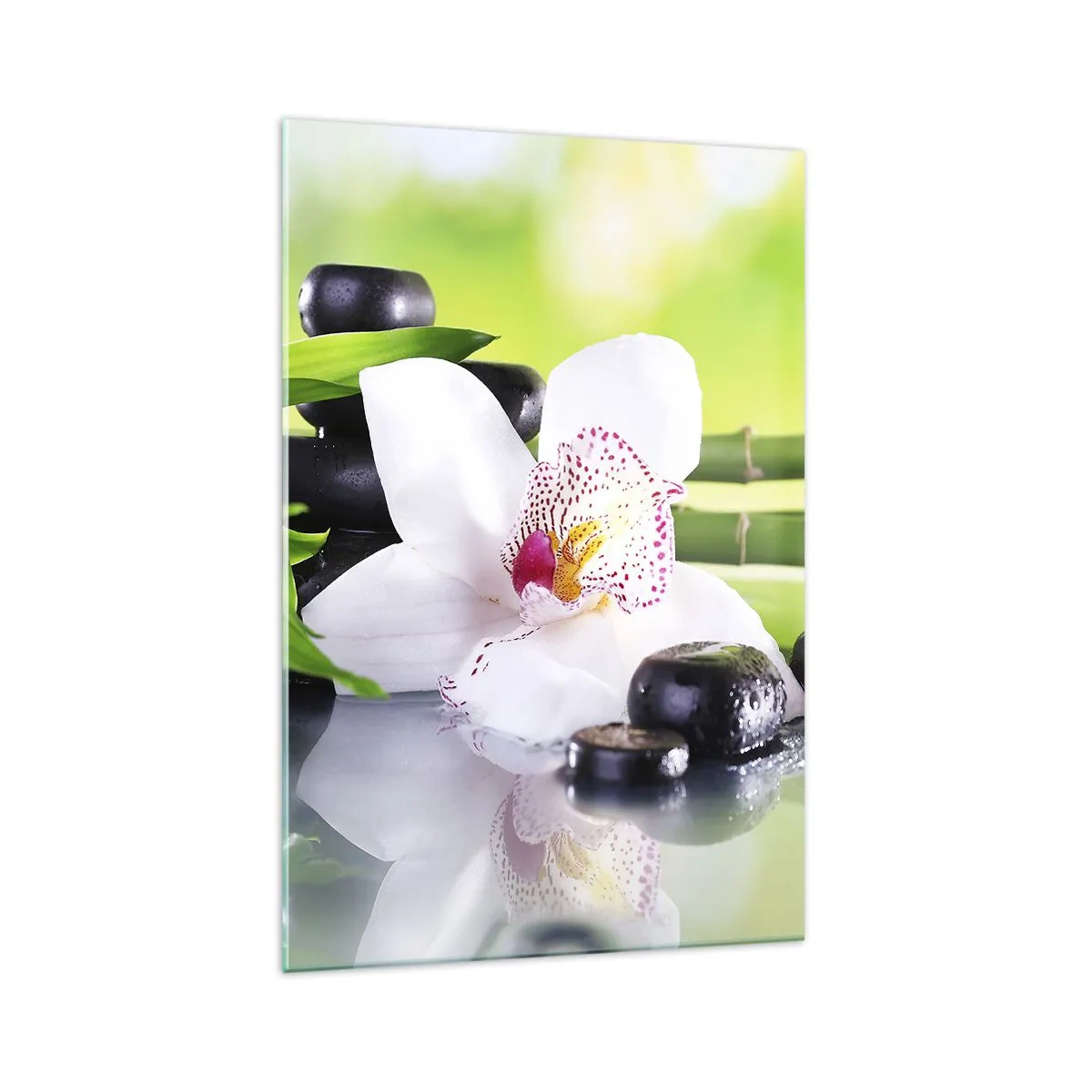 Billede på glas - Kølig friskhed - 70x100 cm