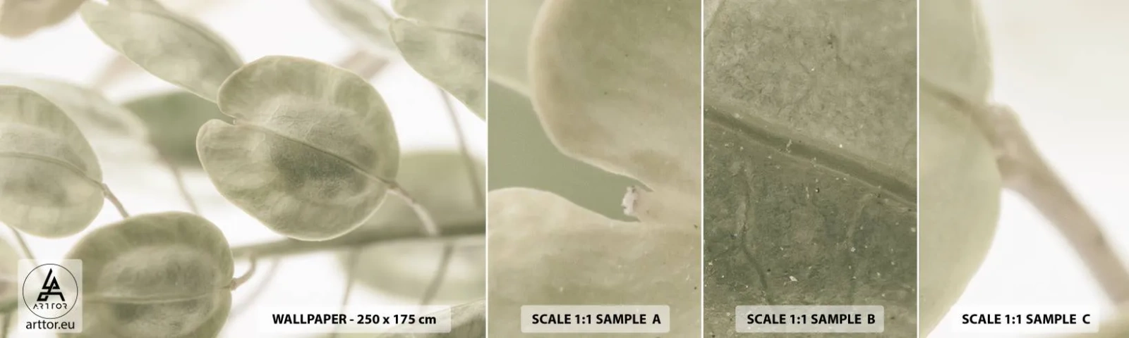 Fototapet Prøve Standard Eco - I begyndelsen var der blade... - Blomster, Berolige, Blade - 100x30 cm