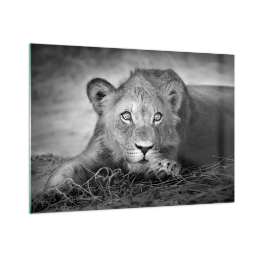 Billede på glas - Kongelig hvalp - 100x70 cm