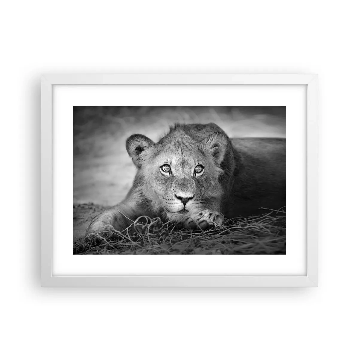 Plakat i hvid ramme - Kongelig hvalp - 40x30 cm