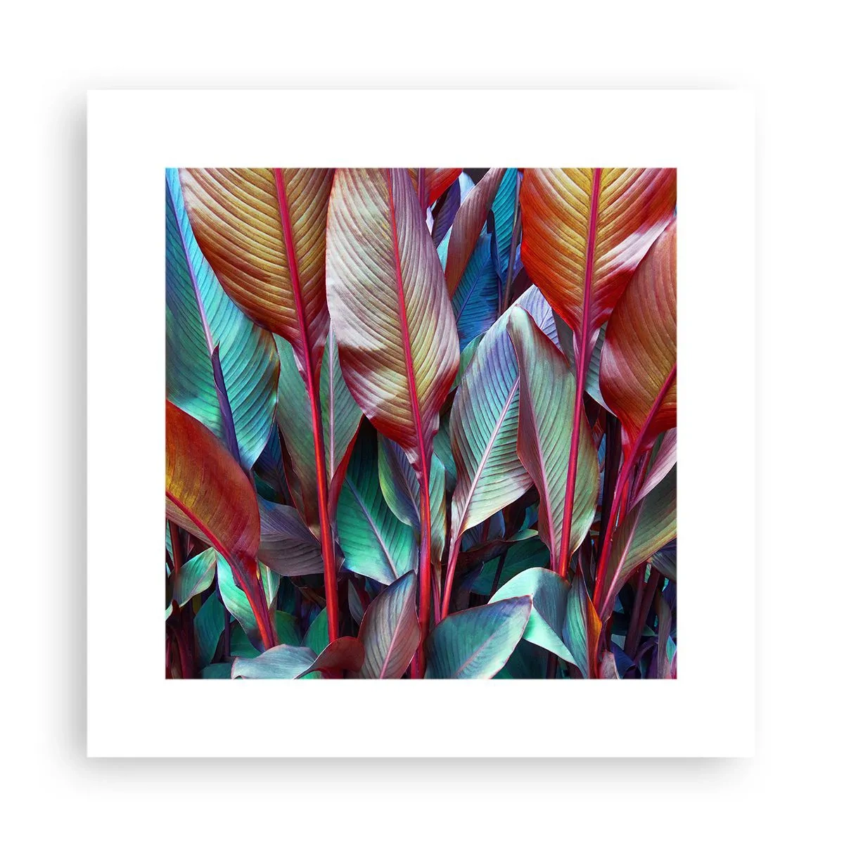 Plakat - Farverigt krat - 30x30 cm