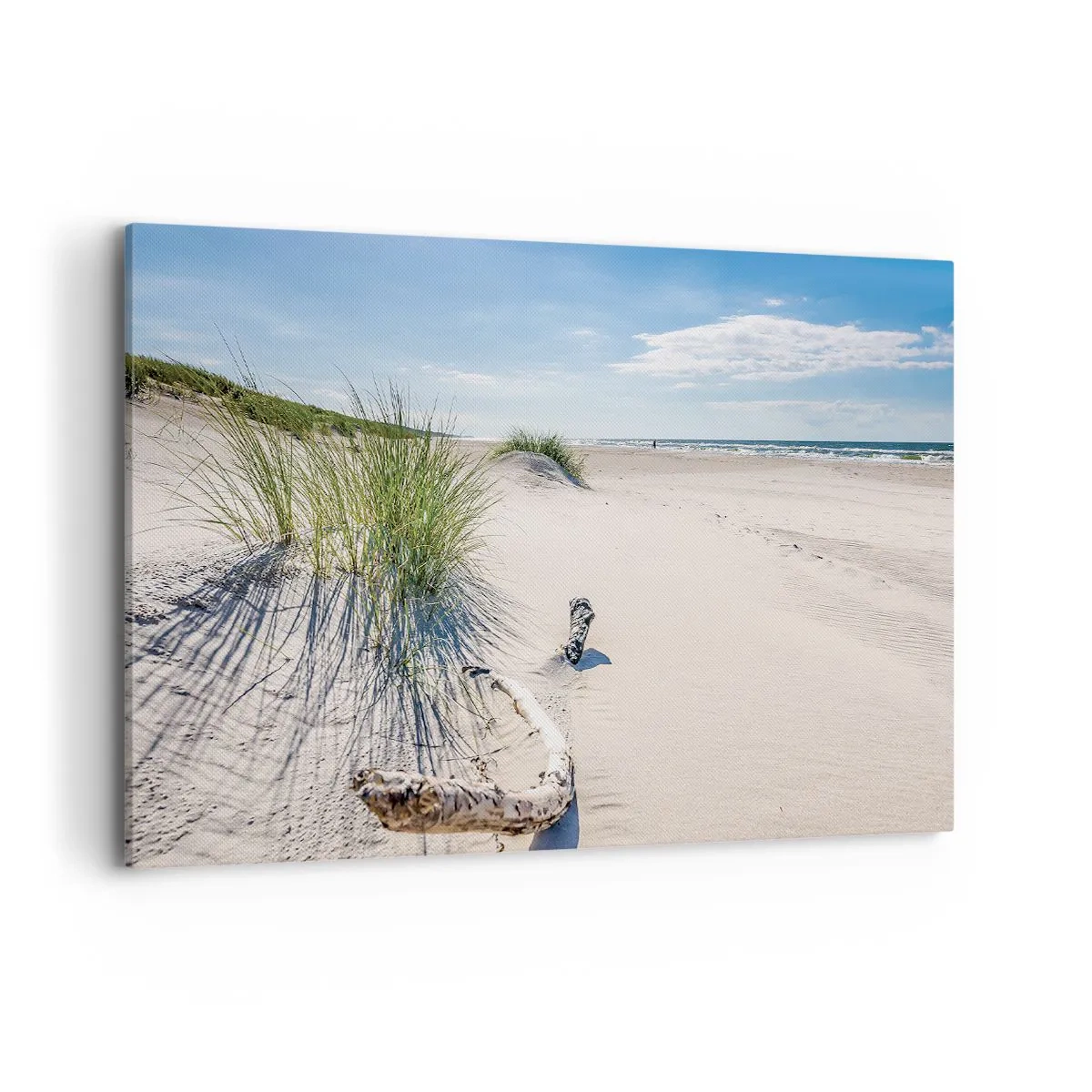 Lærredstryk - Billede på lærred - Den smukkeste? Baltisk - 120x80 cm