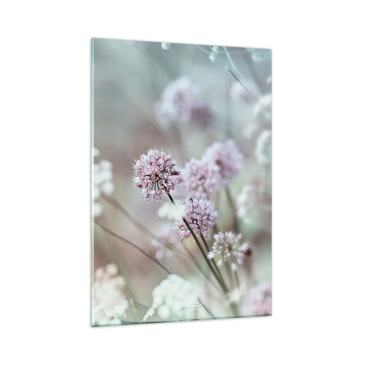 Billede på glas - Søde filigranurter - 50x70 cm