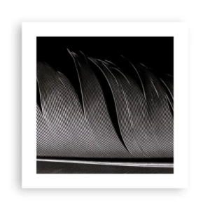 Plakat - Fjer - en vidunderlig konstruktion - 40x40 cm