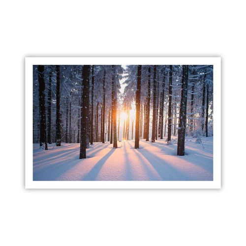 Plakat - Klart i sort og hvidt - 91x61 cm