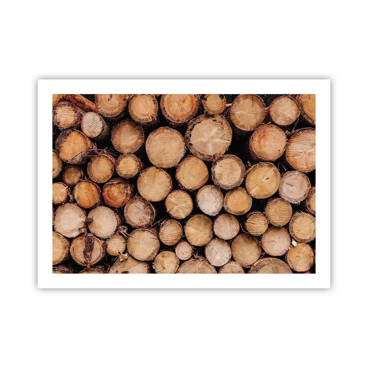 Plakat - En ny begyndelse - 70x50 cm