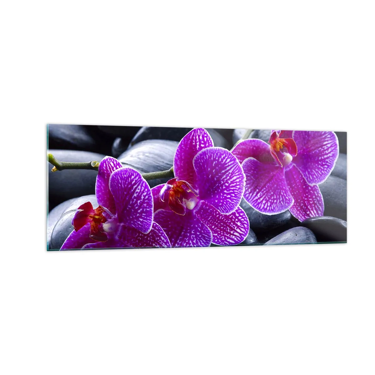 Billede på glas - Stenene lyste op af glæde - 140x50 cm