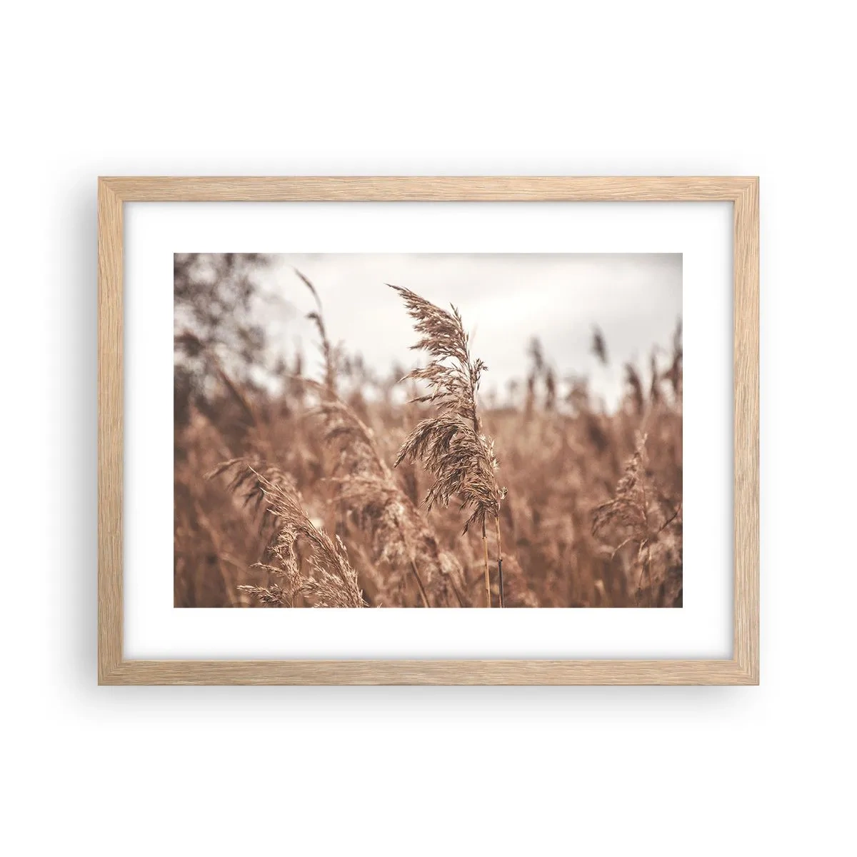Plakat i ramme af lyst egetræ - Efteråret er allerede på markerne - 40x30 cm