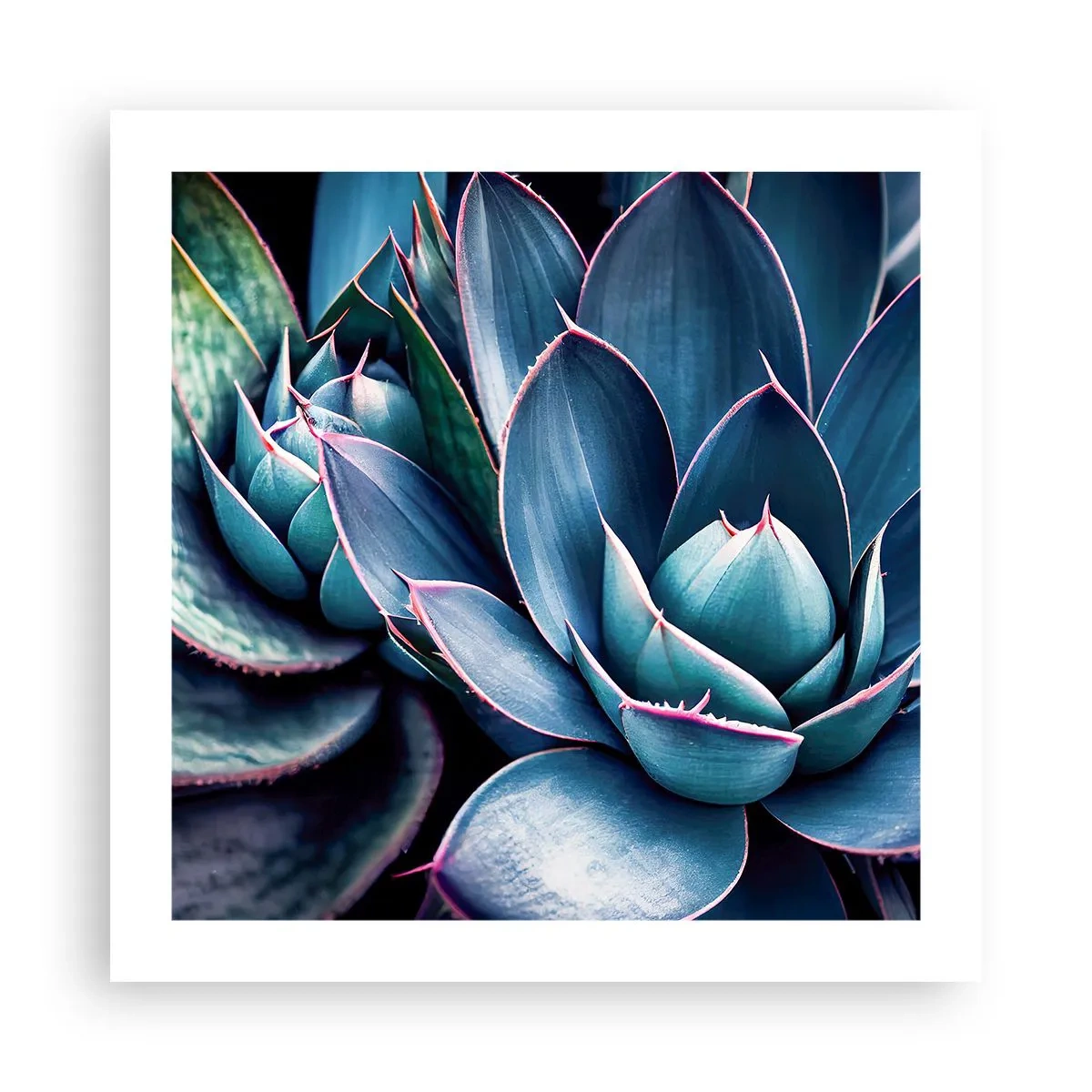 Plakat - Vital kraft - 50x50 cm