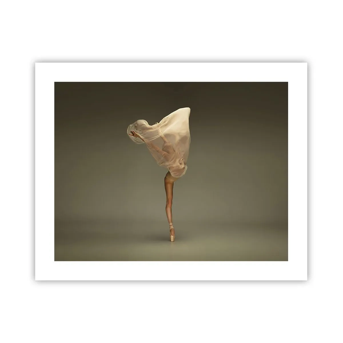 Plakat - Den er ved at flyve - 50x40 cm