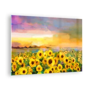 Billede på glas - En mark med solsikker i lyset af den nedgående sol - 70x50cm - Selve solen er steget ned på jorden - Moderne vægdekoration til stue og soveværelse ARTTOR