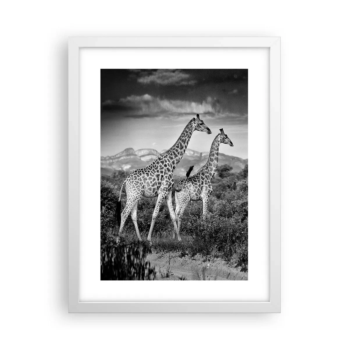 Plakat i hvid ramme - Afrikas overklasse - 30x40 cm