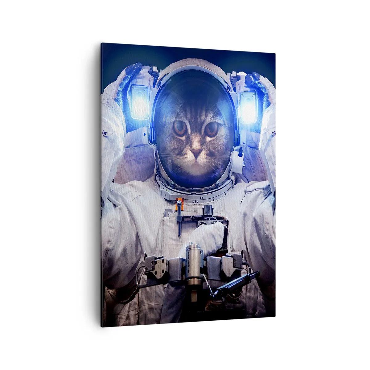 Lærredstryk - Billede på lærred - Houston, I har et problem - 70x100 cm