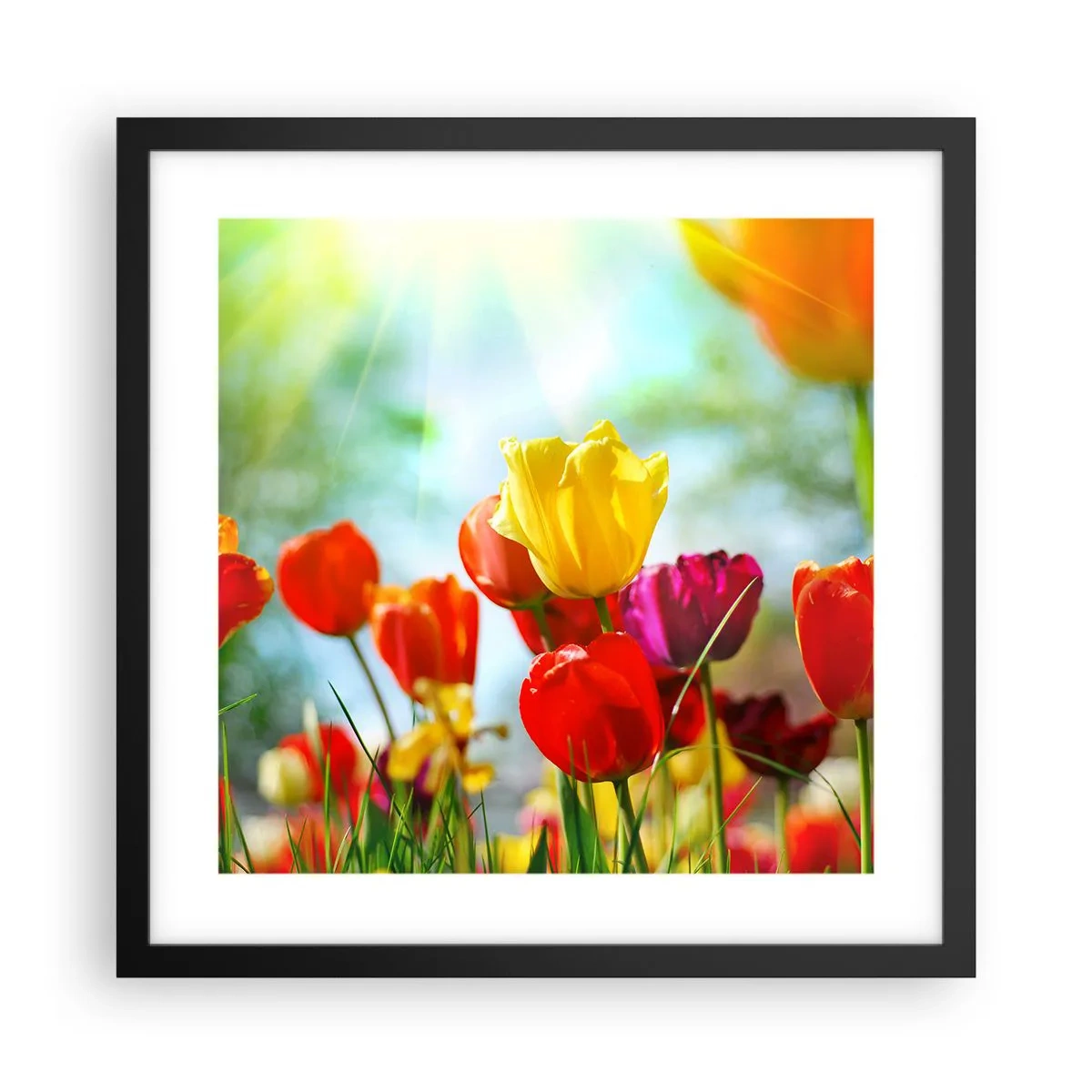 Plakat i sort ramme - Alle solens farver - 40x40 cm