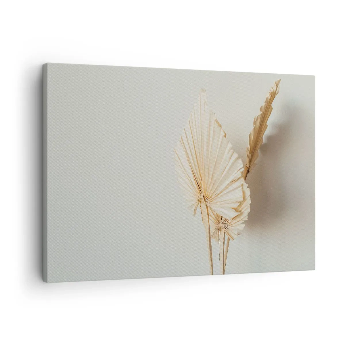 Lærredstryk - Billede på lærred - Tørrede palmeblade i et minimalistisk arrangement - 70x50cm - Når du har brug for trøst - Moderne vægdekoration til stue og soveværelse ARTTOR