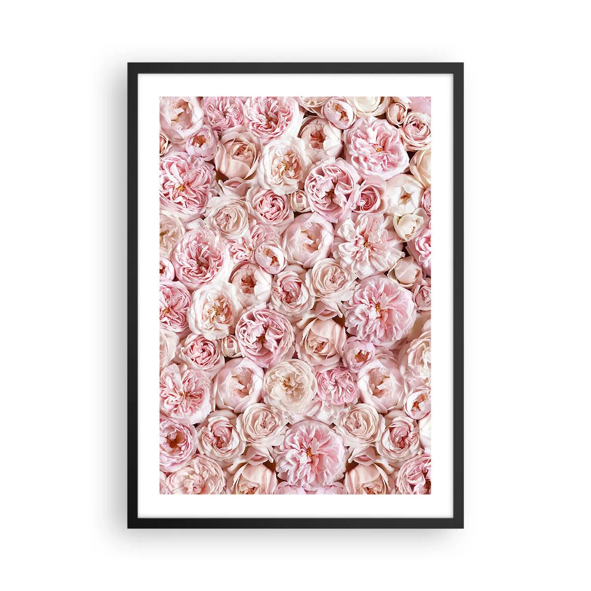 Plakat i sort ramme - Et romantisk arrangement af lyserøde blomster i nærbillede - 50x70cm - Overstrøet med roser - Moderne vægdekoration til stue og soveværelse ARTTOR