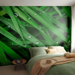Fototapet Standard Eco - Grønt græs dækket af dugdråber - 100x70cm - Spil grønt - Moderne vægdekoration til stue og soveværelse ARTTOR