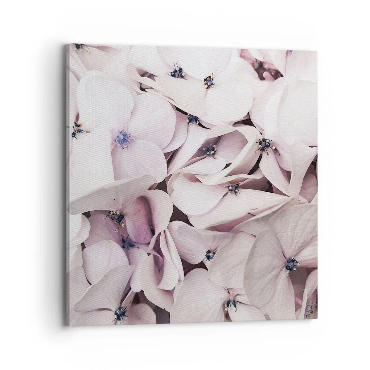 Lærredstryk - Billede på lærred - I en flod af blomster - 70x70 cm