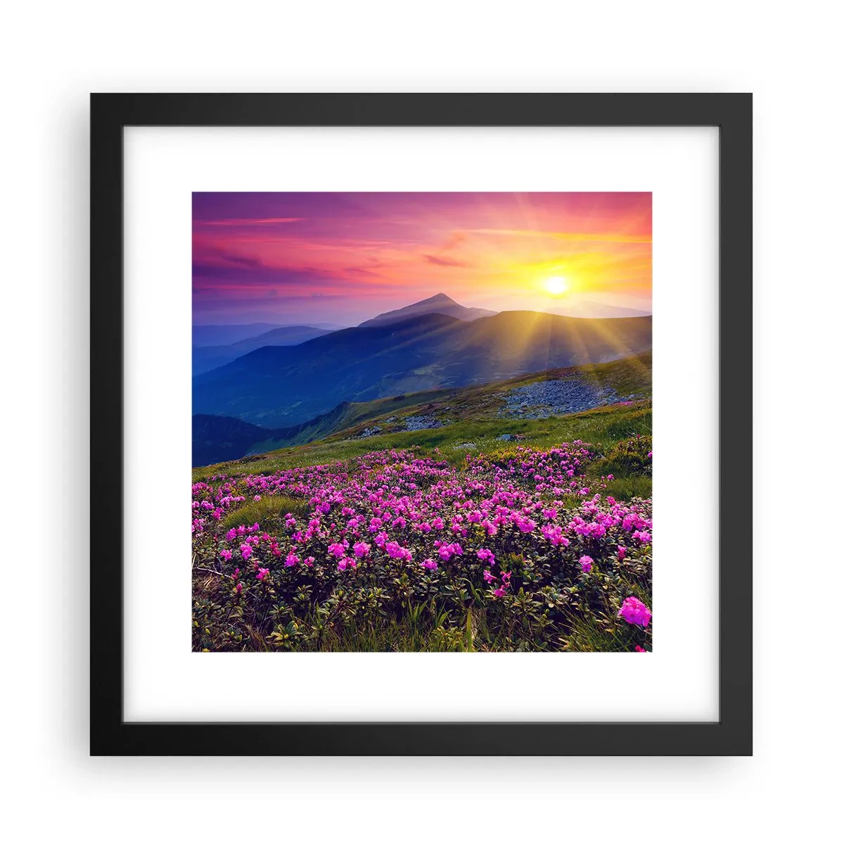 Plakat i sort ramme - ... Og rundt omkring dufter det af fyrretræer og krydderurter - 30x30 cm
