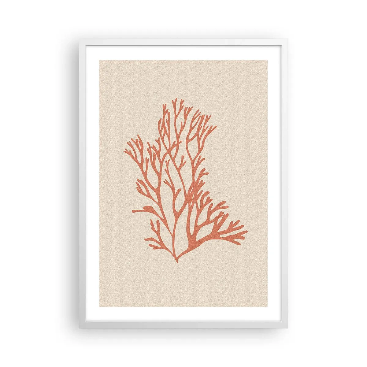 Plakat i hvid ramme - Koral filigran - 50x70 cm