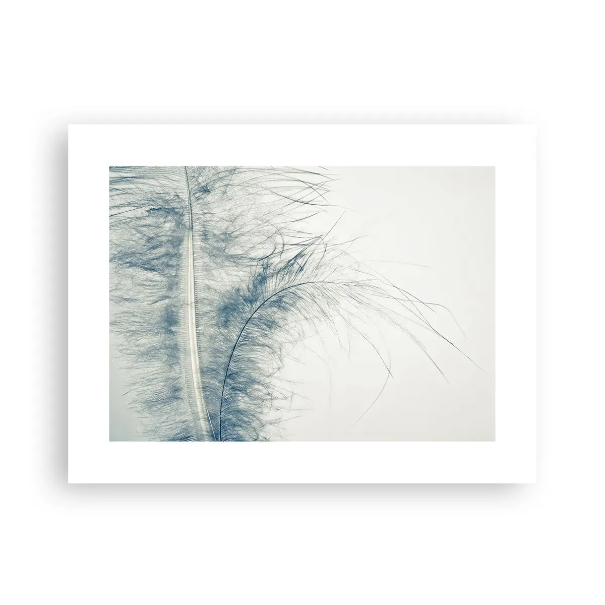 Plakat - Naturens hvisken - 40x30 cm