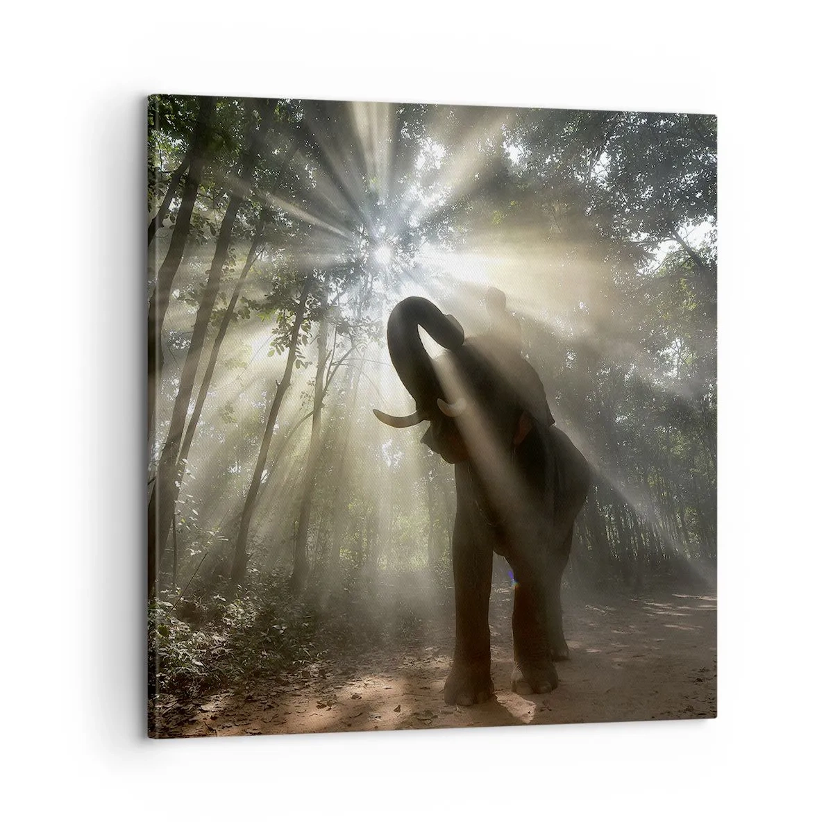 Lærredstryk - Billede på lærred - Under en lykkelig stjerne - 60x60 cm