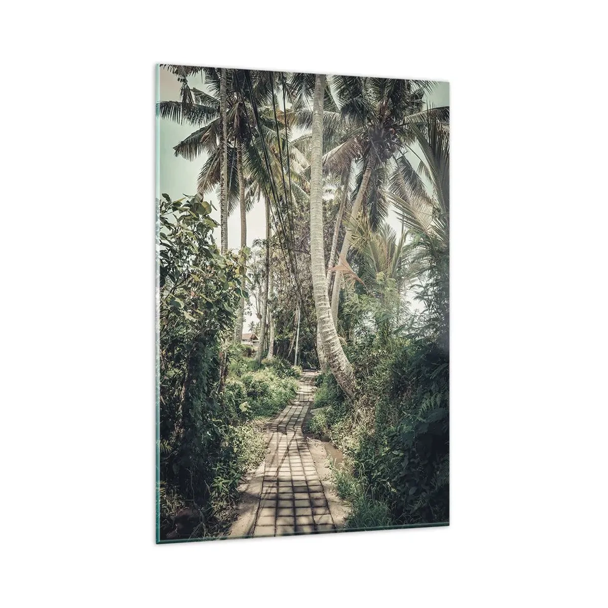 Billede på glas - Palmeallé - 80x120 cm