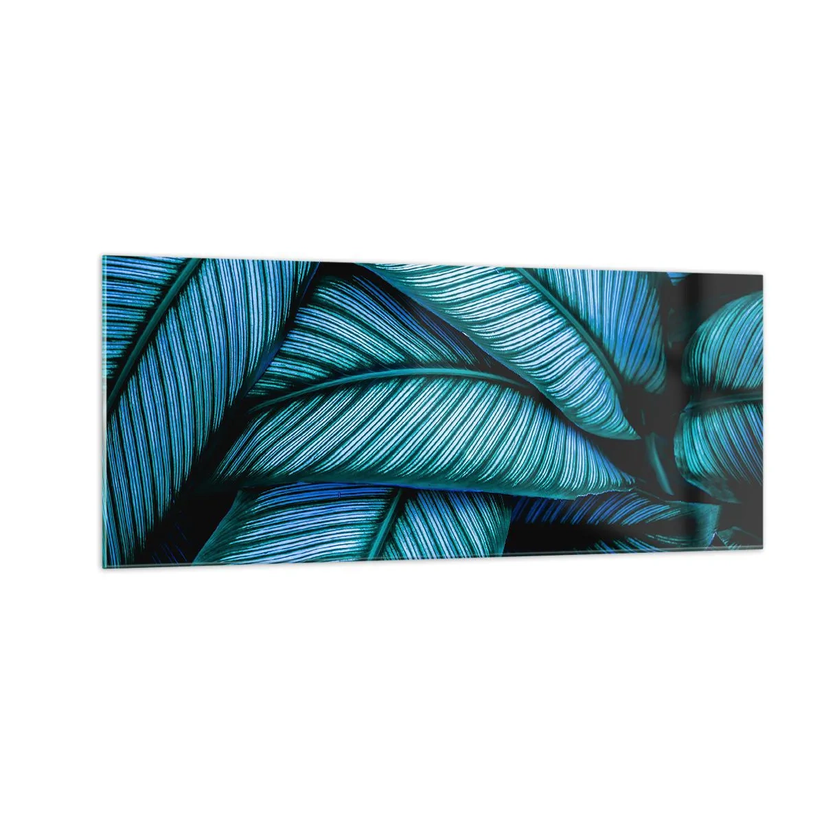 Billede på glas - Livslinjer - 100x40 cm