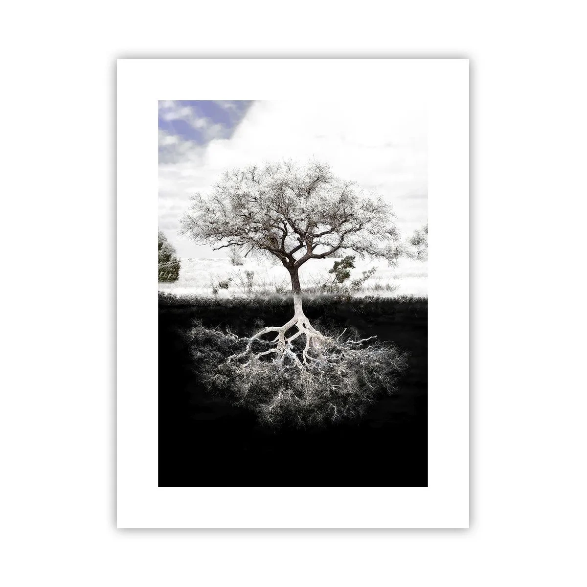 Plakat - Opdagelse af verdens natur - 30x40 cm