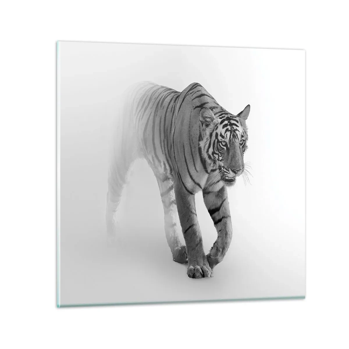 Billede på glas - Krybende i tågen - 30x30 cm