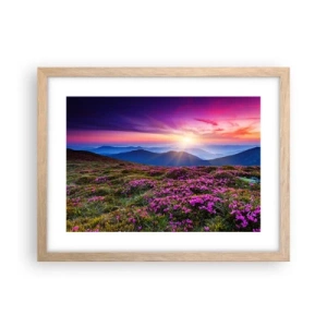 Plakat i ramme af lyst egetræ - Urter duftede friske bundter fra niw - 40x30 cm