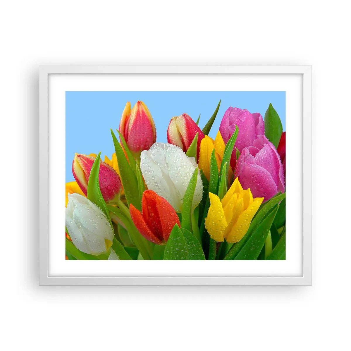 Plakat i hvid ramme - En blomstret regnbue i dugdråber - 50x40 cm