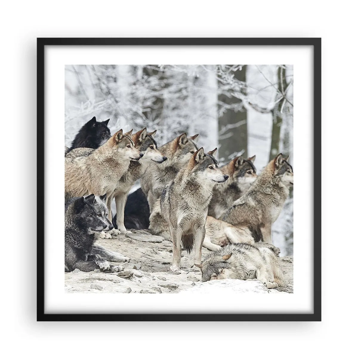 Plakat i sort ramme - Familie og venner - 50x50 cm