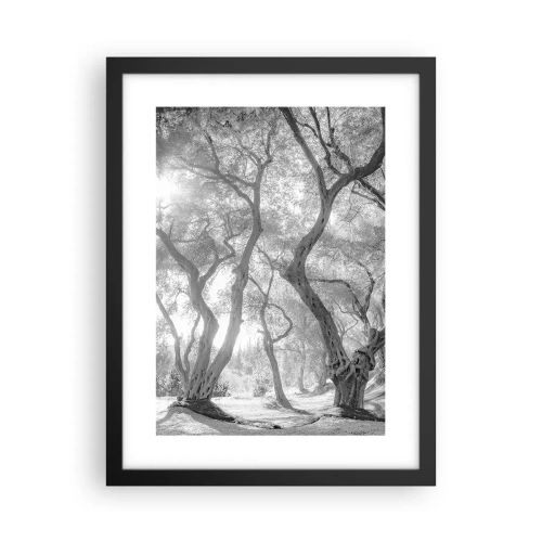 Plakat i sort ramme - I en olivenlund - 30x40 cm