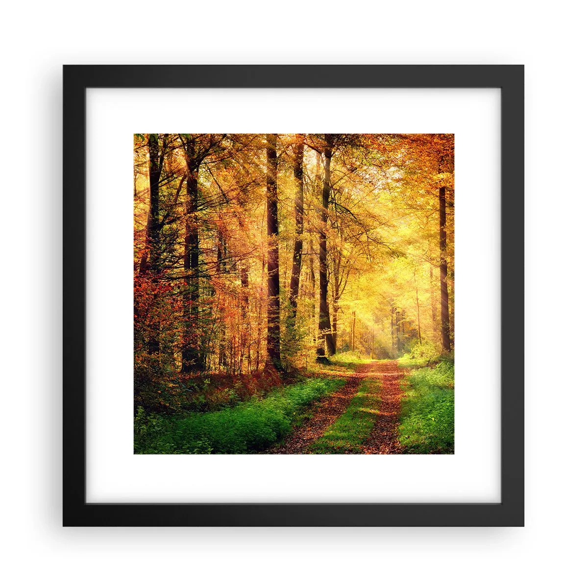 Plakat i sort ramme - Skovgylden stilhed - 30x30 cm