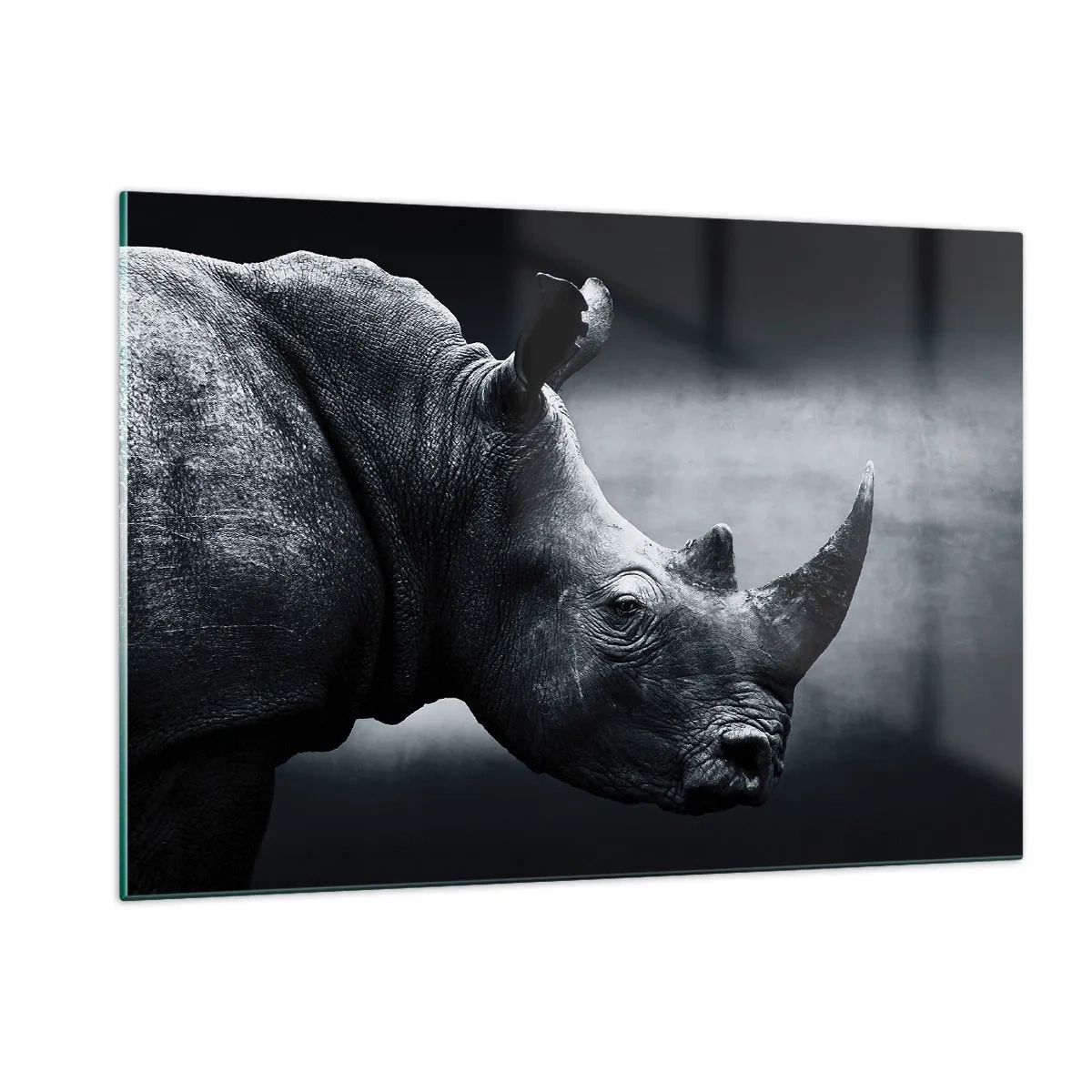 Billede på glas - Højre profil - 120x80 cm