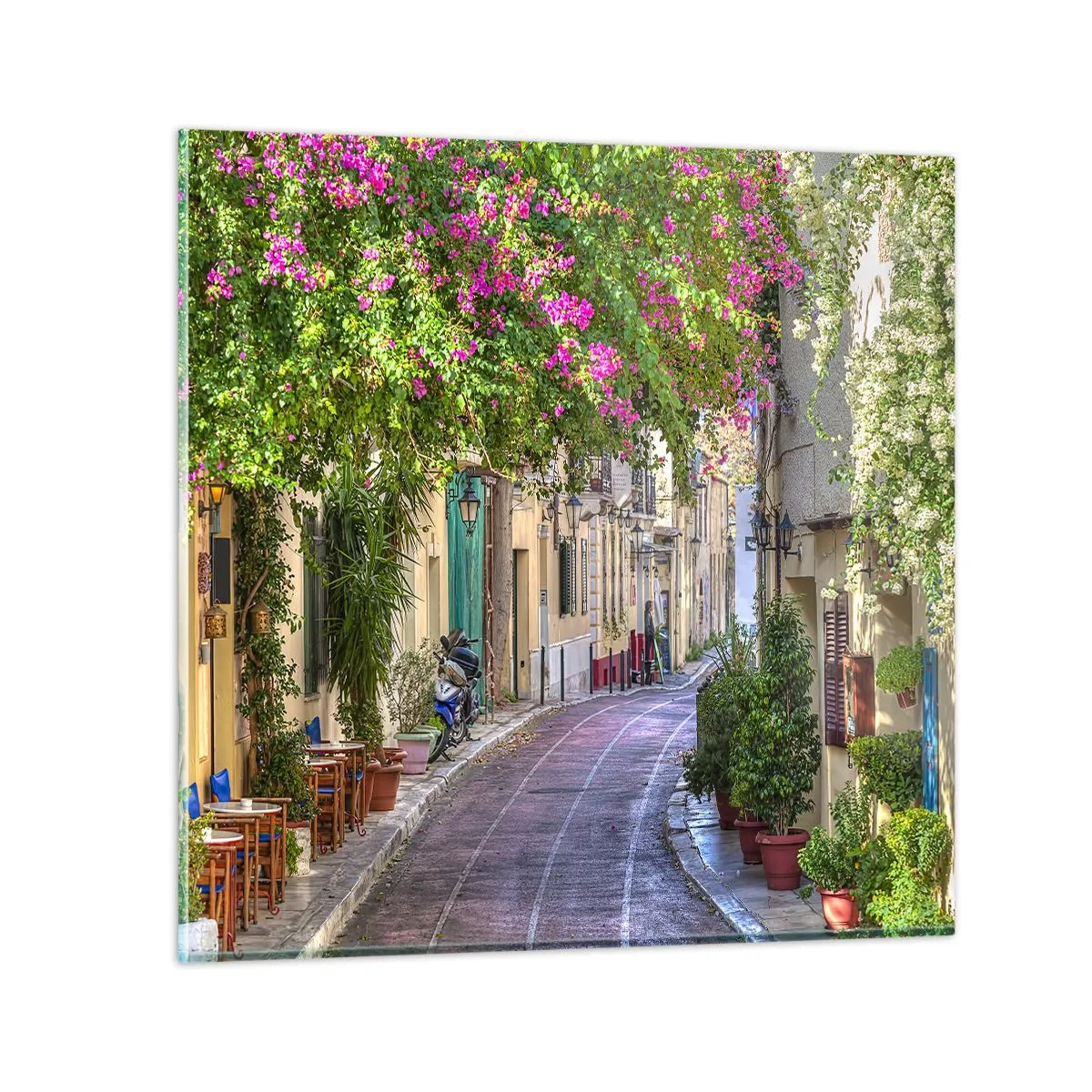 Billede på glas - En blomstrende gyde - 50x50 cm