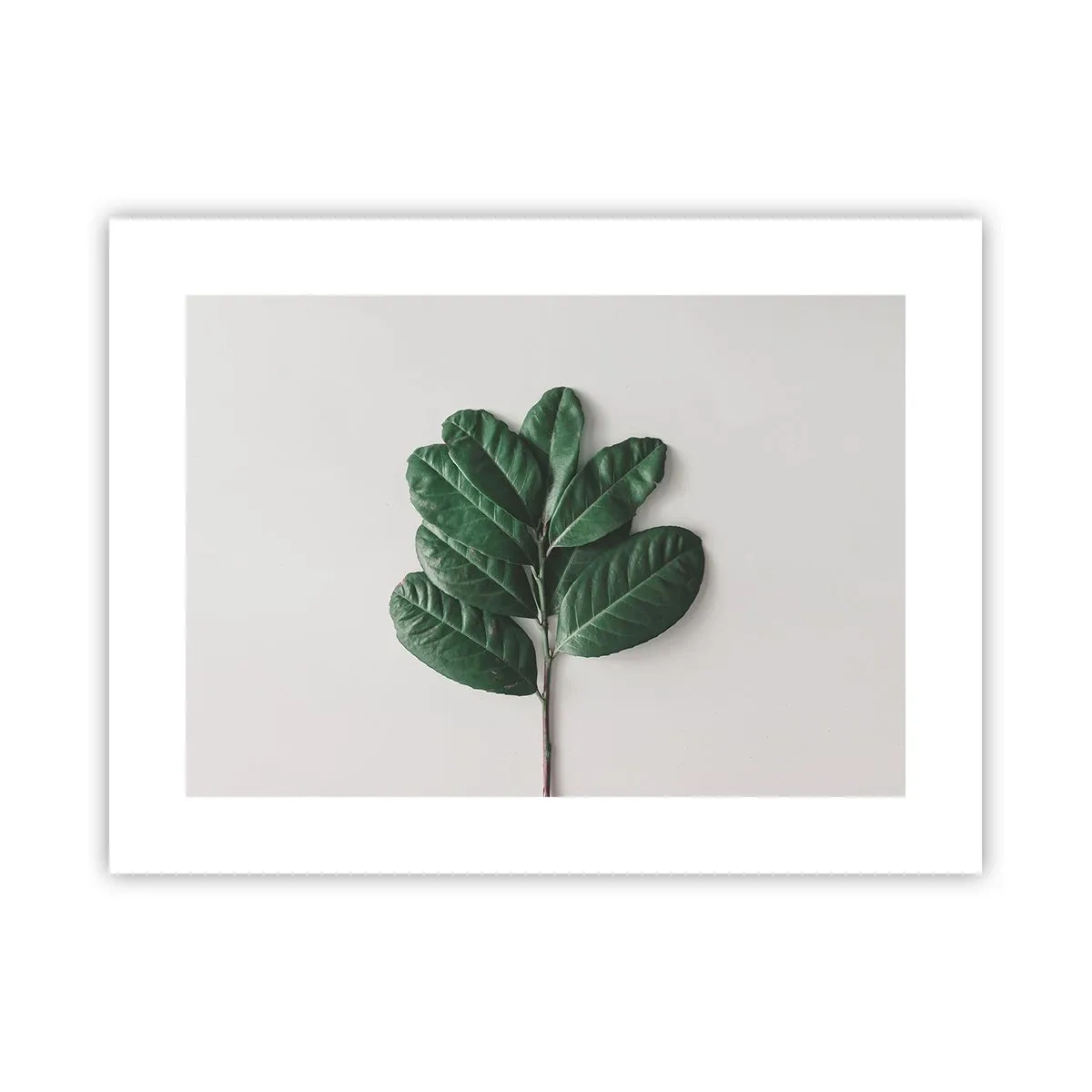 Plakat - Tegning af selve naturen - 40x30 cm