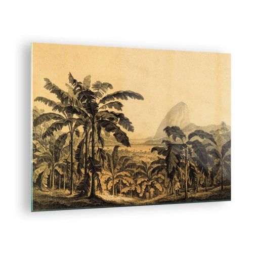 Billede på glas - En vintageillustration af en bananplantage med et fjernt bjerg i baggrunden. - 70x50cm - I en kolonial atmosfære - Moderne vægdekoration til stue og soveværelse ARTTOR