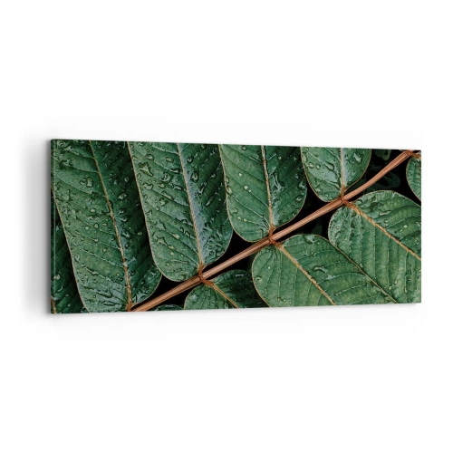 Lærredstryk - Billede på lærred - I en grøn rytme - 100x40 cm
