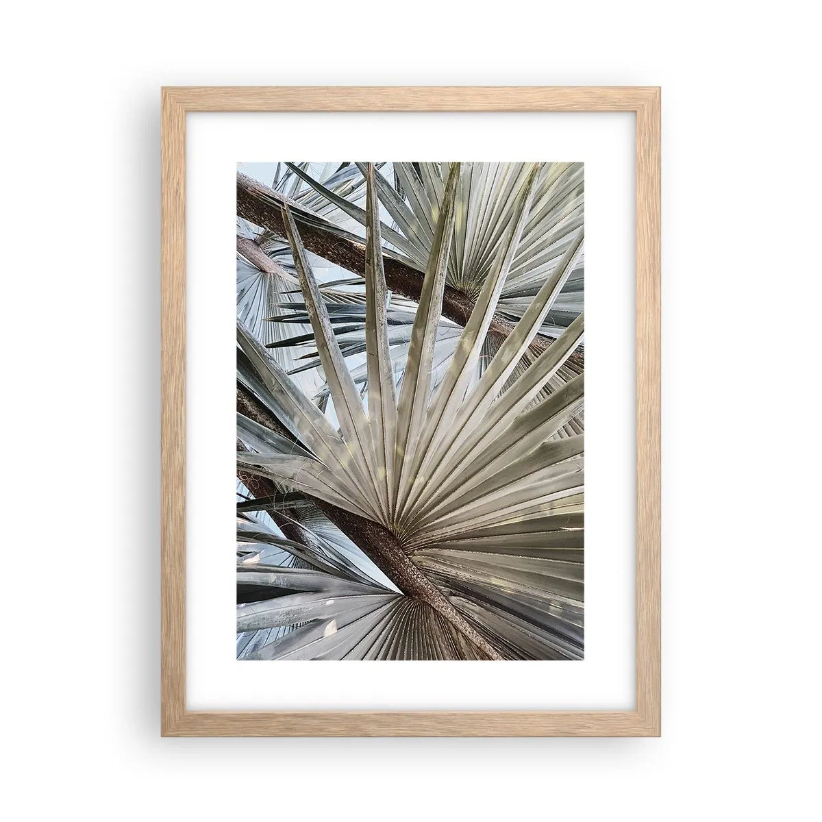 Plakat i ramme af lyst egetræ - Ventilatorer i troperne - 30x40 cm