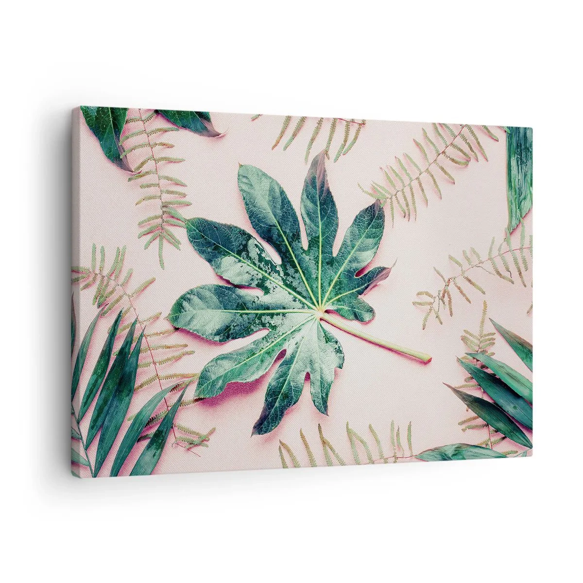 Lærredstryk - Billede på lærred - Tropiske blade på en lys pastelbaggrund - 70x50cm - En undersøgelse af grønt på en lyserød baggrund - Moderne vægdekoration til stue og soveværelse ARTTOR